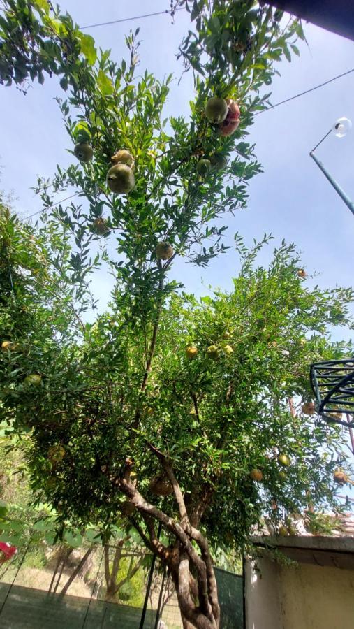 Relax Camping Gjirokastër Eksteriør billede